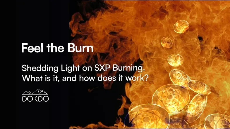 Feel the Burn. SXP Burning Update